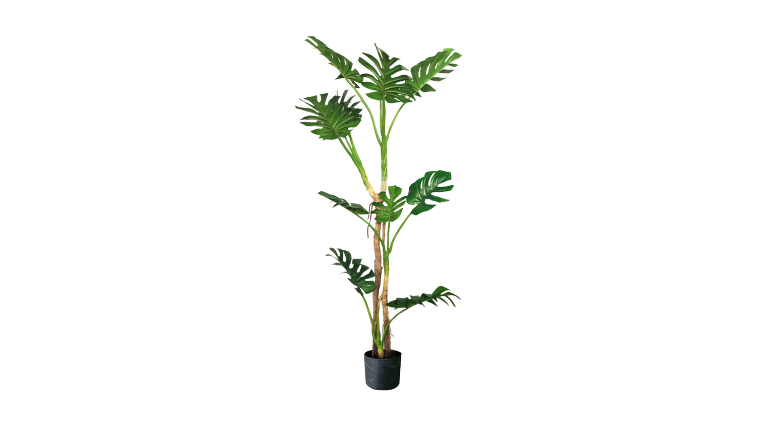 Soga 175cm Artificial Turtle Back Plant Harvey Norman New Zealand
