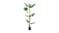 Soga 175cm Artificial Turtle Back Plant