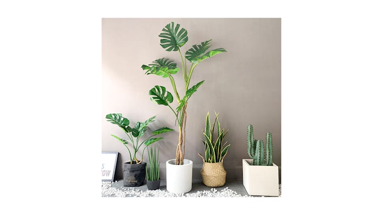 Soga 175cm Artificial Turtle Back Plant