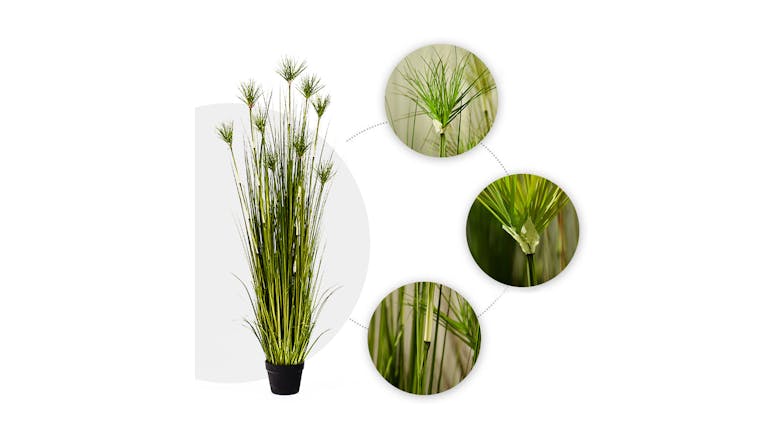 Soga 150cm Artificial Papyrus Plant