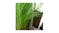 Soga 137cm Artificial Bulrush Grass