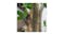 Soga 120cm Artificial Watercress Tree