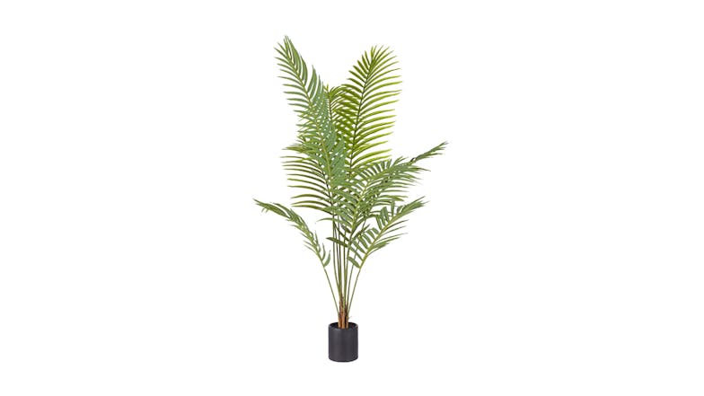 Soga 180cm Artificial Rogue Areca