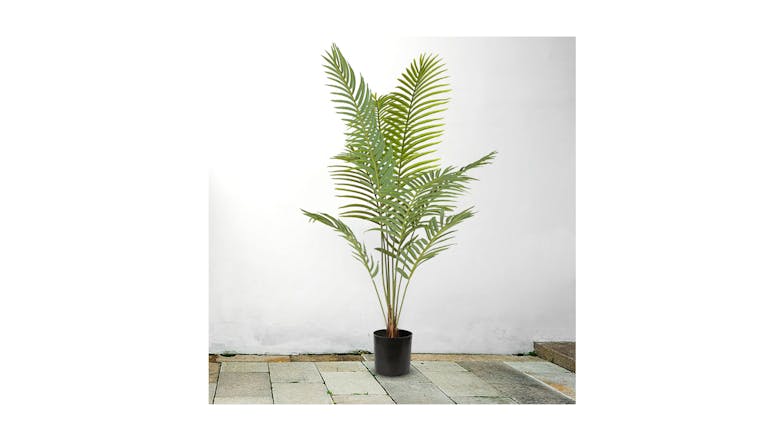 Soga 180cm Artificial Rogue Areca