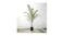 Soga 160cm Artificial Rogue Areca