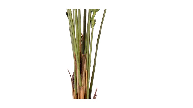 Soga 150cm Artificial Rogue Plant