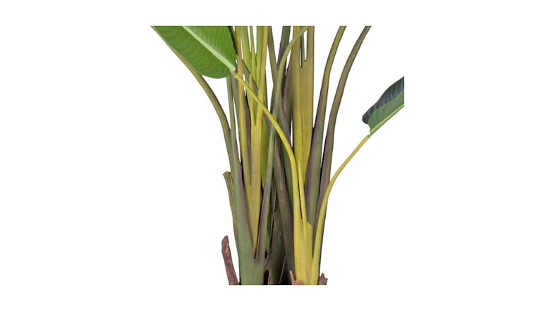 Soga 220cm Artificial Plant