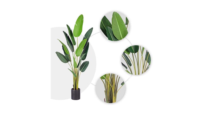 Soga 220cm Artificial Plant