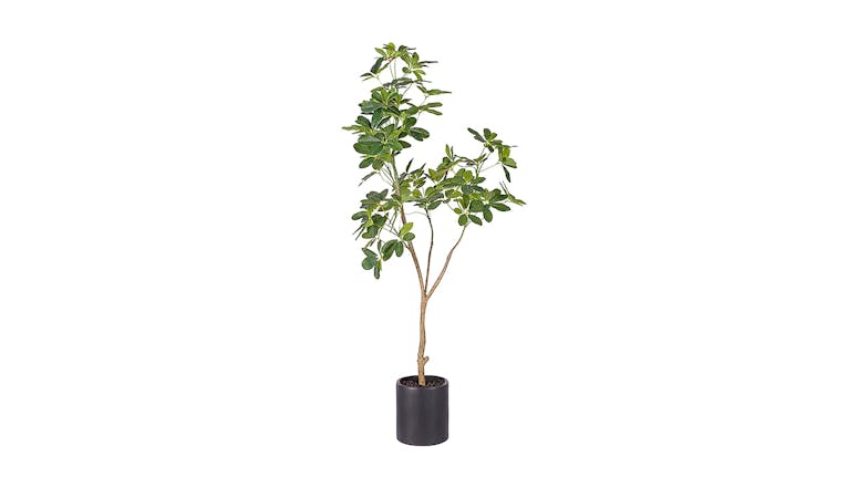 Soga 160cm Artificial Schefflera Plant