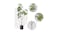 Soga 160cm Artificial Schefflera Plant