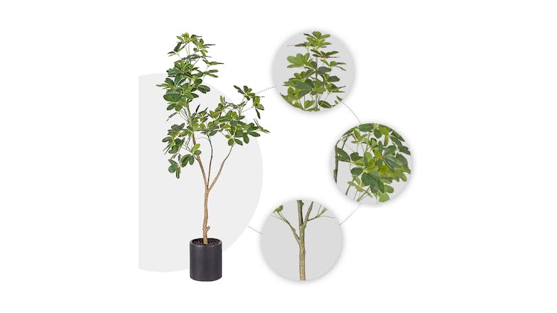 Soga 160cm Artificial Schefflera Plant