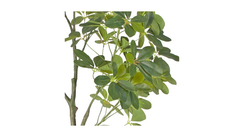 Soga 160cm Artificial Schefflera Plant