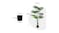 Soga 150cm Artificial Fan Palm Plant