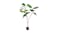 Soga 120cm Artificial Fake Plant