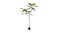 Soga 150cm Artificial Fake Plant