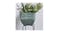 Soga 27cm Square Resin Planter - Green/Grey