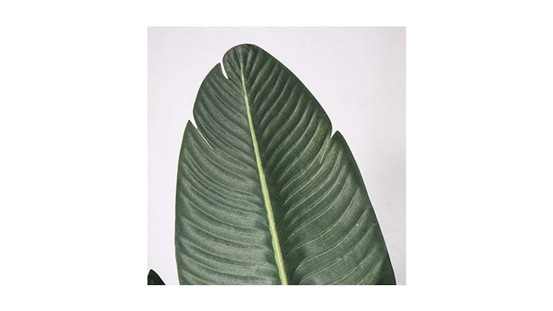 Soga 160cm Artificial Banana Plant