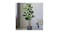 Soga Artificial Pocket Money Tree 95cm