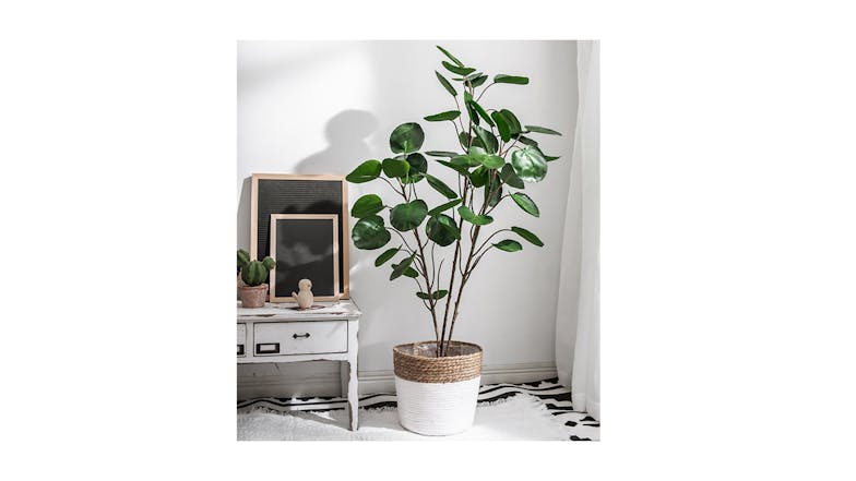 Soga Artificial Pocket Money Tree 95cm