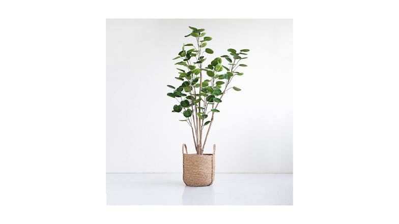 Soga Artificial Pocket Money Tree 150cm