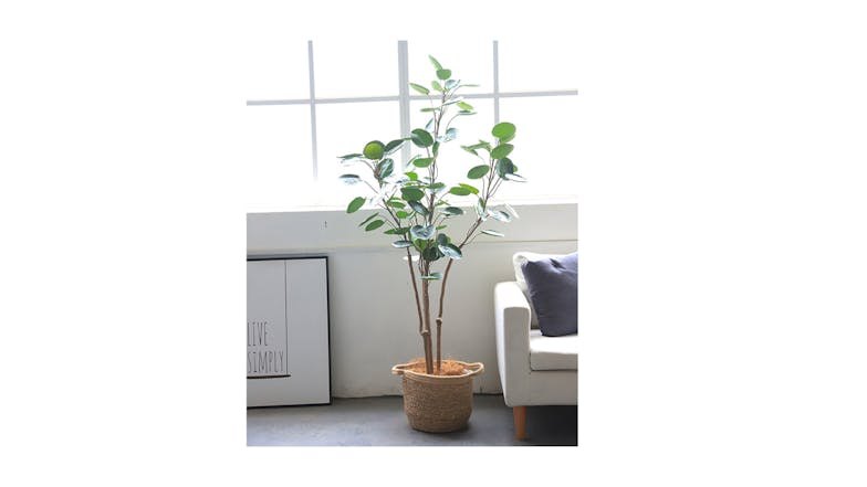 Soga Artificial Pocket Money Tree 180cm