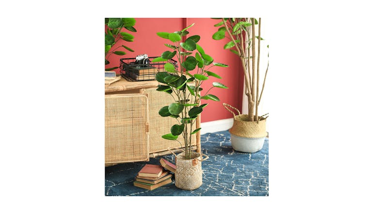 Soga Artificial Pocket Money Tree 180cm