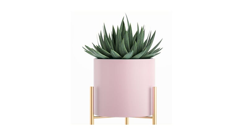 Soga 60cm 2 Layer Pot Plant Stand - Gold/Pink
