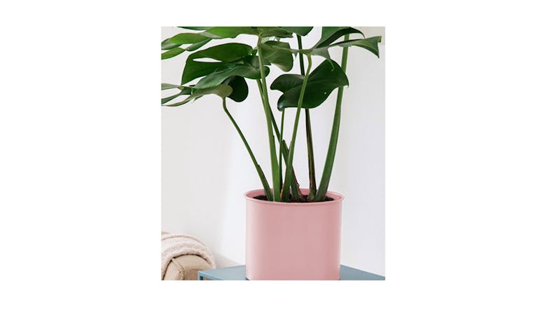 Soga 70cm Modern Tripod Flower Pot Stand