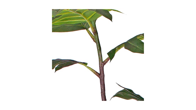 Soga 90cm Artificial Philodendron Plant