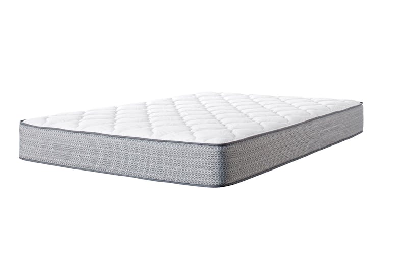 Elite Support Single Mattress by Sealy