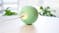 Cheerble Wicked Ball Physical Exercise Smart Pet Toy - Jade Green