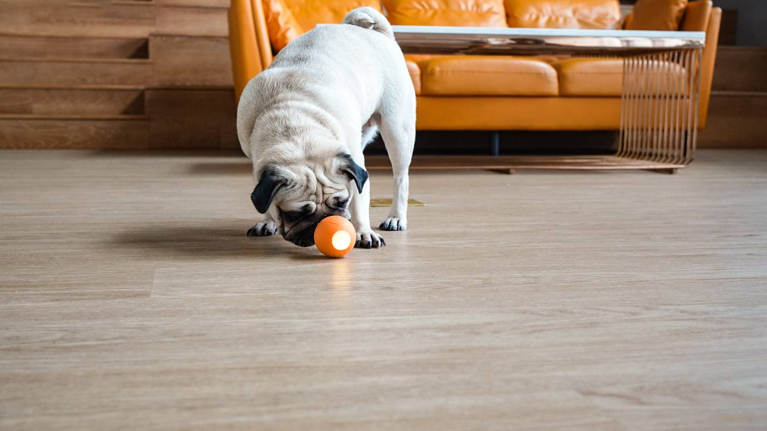 Cheerble Wicked Ball Special Edition Smart Pet Toy - Twilight Orange