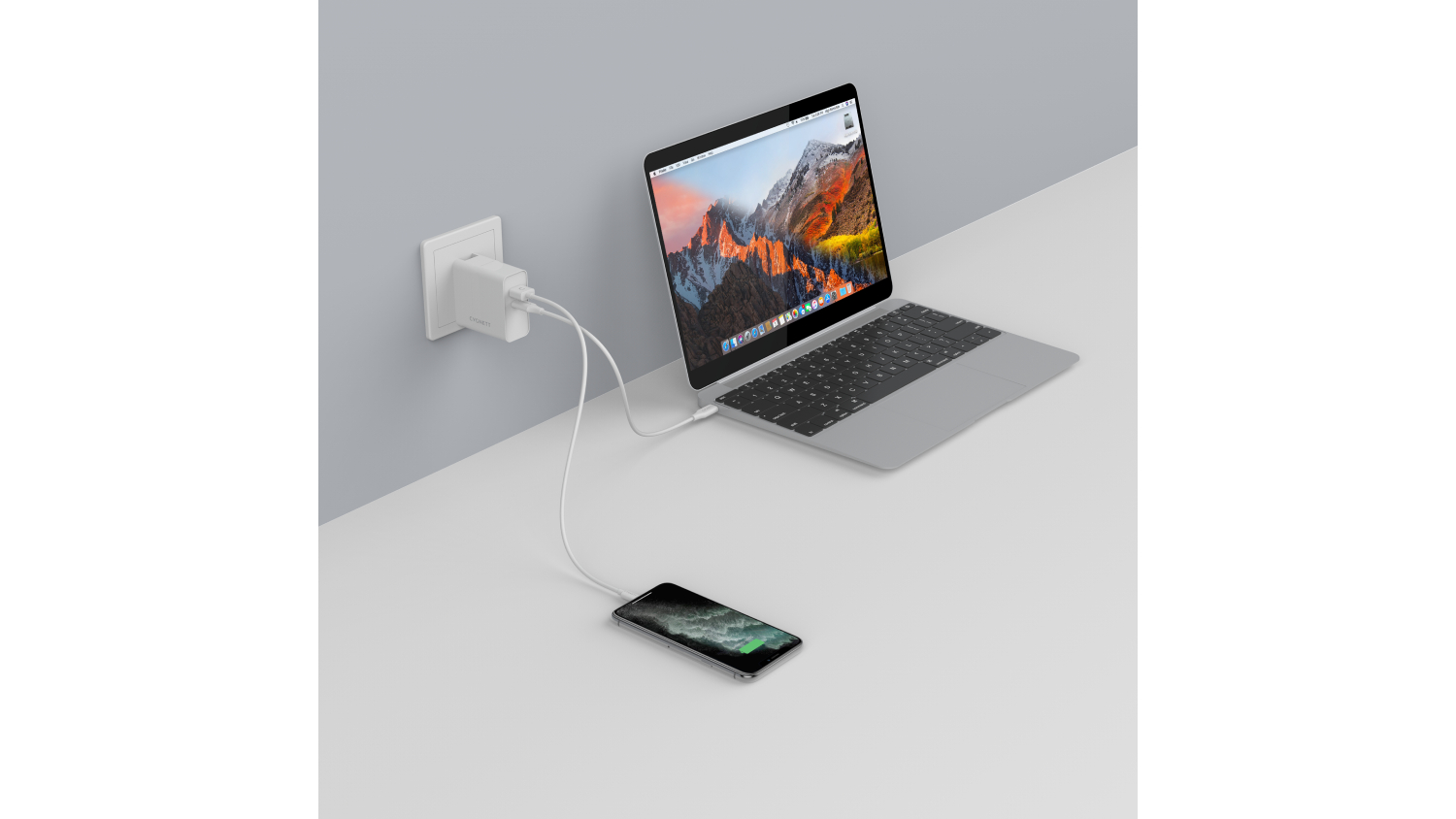 PowerPlus 60W Dual Wall Charger (USBA & USBC) with USBC to