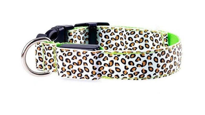 Hod Leopard Print Led Dog Collar Medium - White