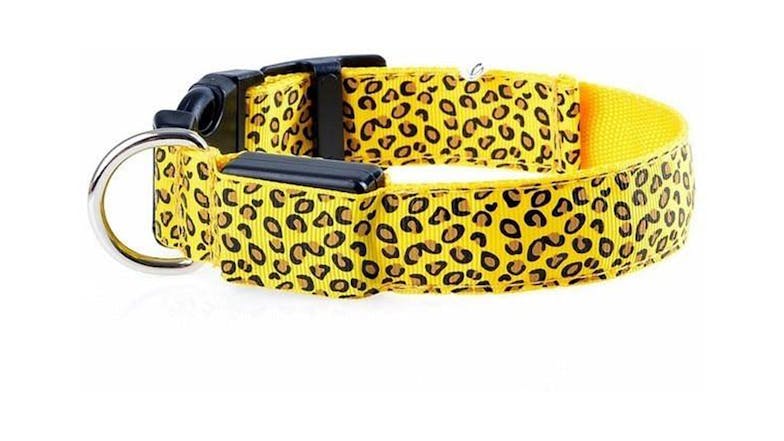 Hod Leopard Print Led Dog Collar Medium - White