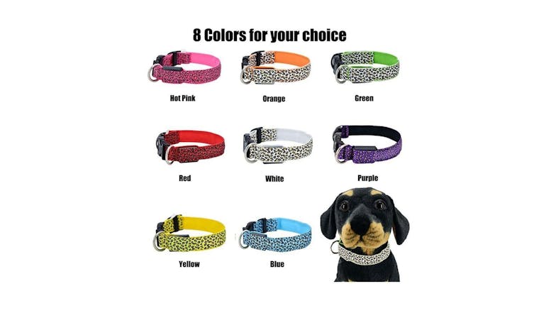 Hod Leopard Print Led Dog Collar Medium - White