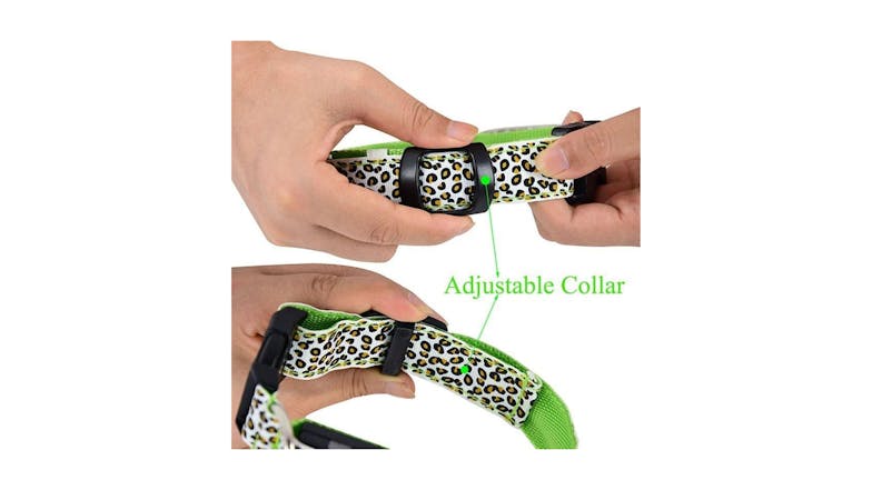 Hod Leopard Print Led Dog Collar Medium - Green