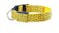 Hod Leopard Print Led Dog Collar Medium - Yellow