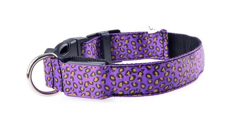 Hod Leopard Print Led Dog Collar Large - Purple