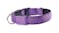 Hod Leopard Print Led Dog Collar Medium - Purple