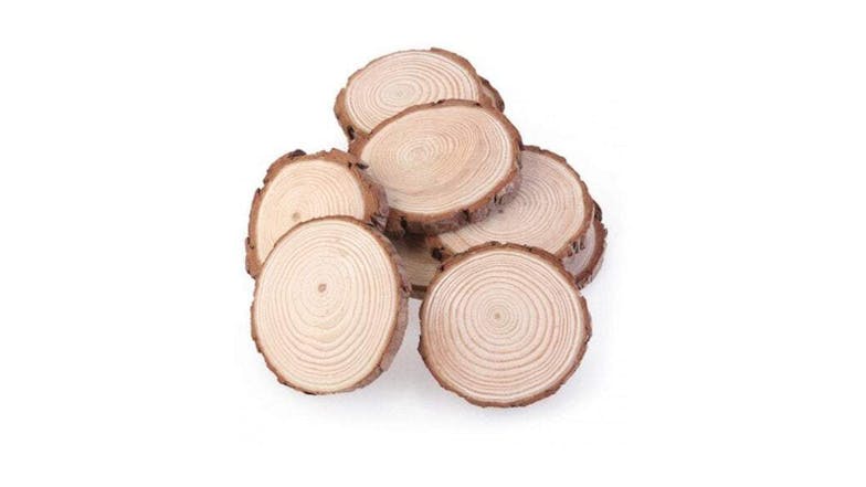 Hod 10 Piece DIY Round Wood Circle Slices