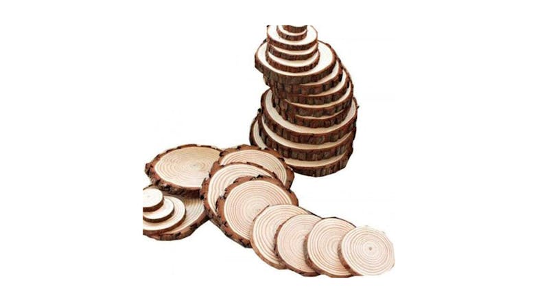 Hod 10 Piece DIY Round Wood Circle Slices