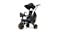 Doona Liki S5 Compact Folding Trike with Pushing Handle - Nitro Black