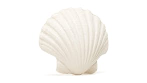 Lanco Clam Shell Bath Toy
