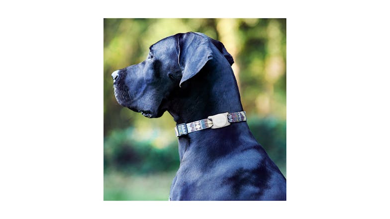 Case-mate Airtag Dog Collar Mount