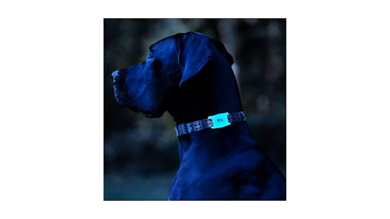 Case-mate Airtag Dog Collar Mount