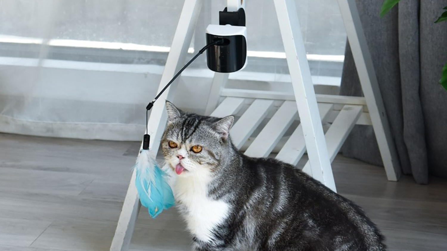 Dogness Laser Cat Teaser