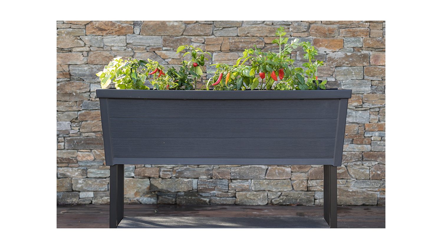Keter Alfresco Elevated Garden Bed Harvey Norman New Zealand
