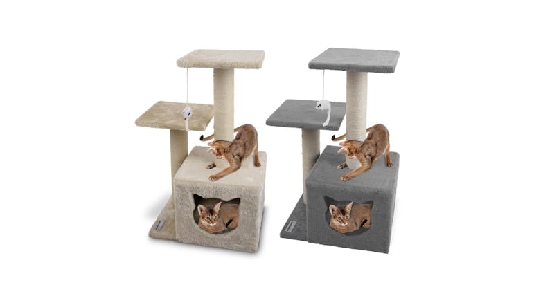 Catsby Dbl Platform Hideaway Tower Brn - 38X28X63Cm