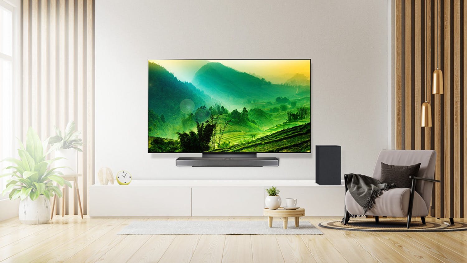 LG 65" Premium C3 Smart 4K OLED evo TV